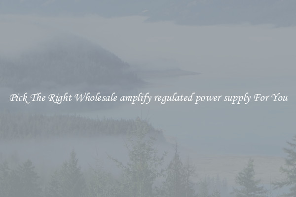 Pick The Right Wholesale amplify regulated power supply For You