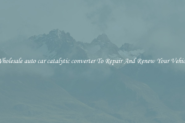 Wholesale auto car catalytic converter To Repair And Renew Your Vehicle