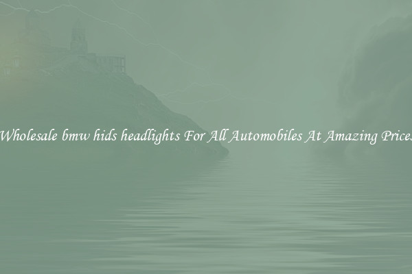 Wholesale bmw hids headlights For All Automobiles At Amazing Prices