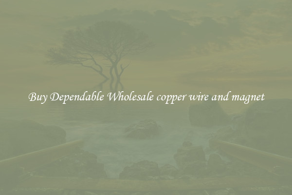 Buy Dependable Wholesale copper wire and magnet