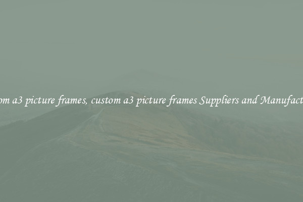 custom a3 picture frames, custom a3 picture frames Suppliers and Manufacturers