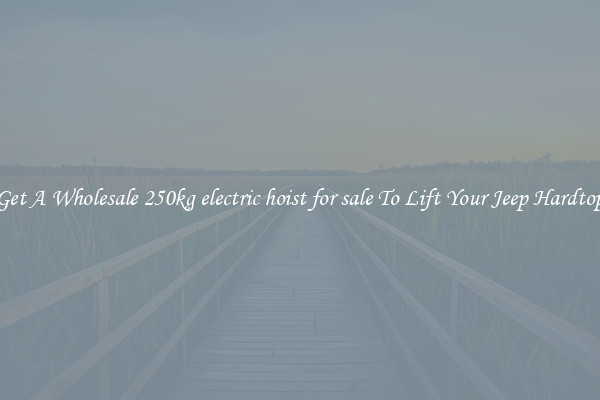 Get A Wholesale 250kg electric hoist for sale To Lift Your Jeep Hardtop