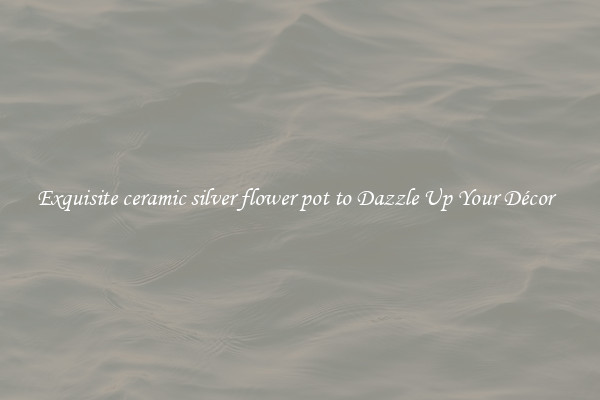 Exquisite ceramic silver flower pot to Dazzle Up Your Décor  