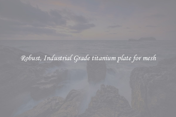 Robust, Industrial Grade titanium plate for mesh