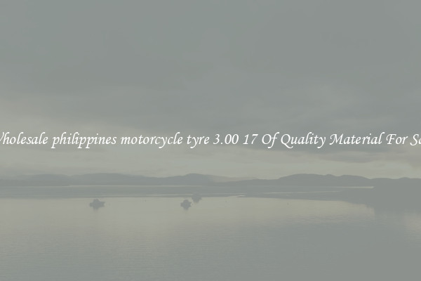 Wholesale philippines motorcycle tyre 3.00 17 Of Quality Material For Sale