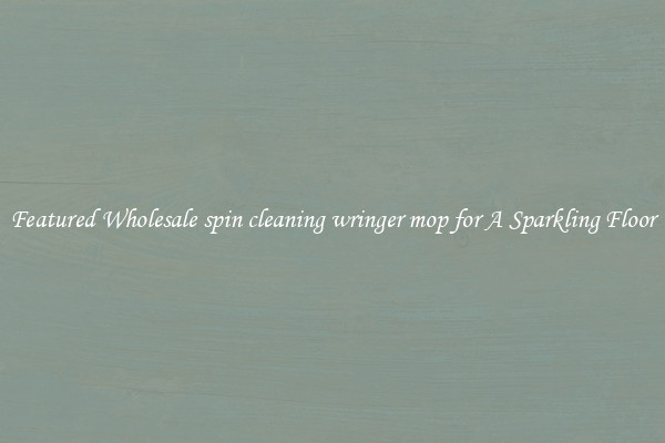 Featured Wholesale spin cleaning wringer mop for A Sparkling Floor