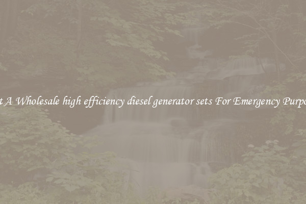 Get A Wholesale high efficiency diesel generator sets For Emergency Purposes