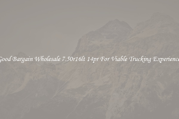 Good Bargain Wholesale 7.50r16lt 14pr For Viable Trucking Experience 