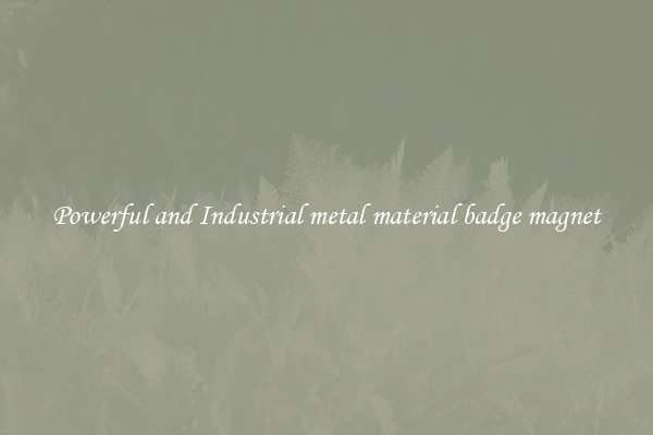 Powerful and Industrial metal material badge magnet