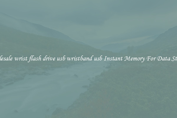 Wholesale wrist flash drive usb wristband usb Instant Memory For Data Storage