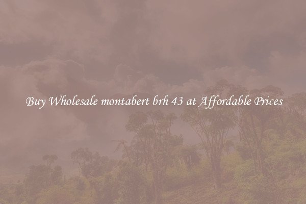 Buy Wholesale montabert brh 43 at Affordable Prices