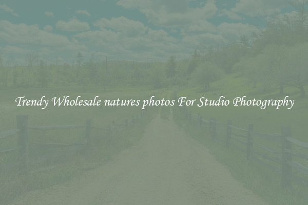 Trendy Wholesale natures photos For Studio Photography