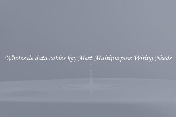 Wholesale data cables key Meet Multipurpose Wiring Needs