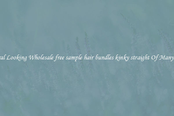 Natural Looking Wholesale free sample hair bundles kinky straight Of Many Types