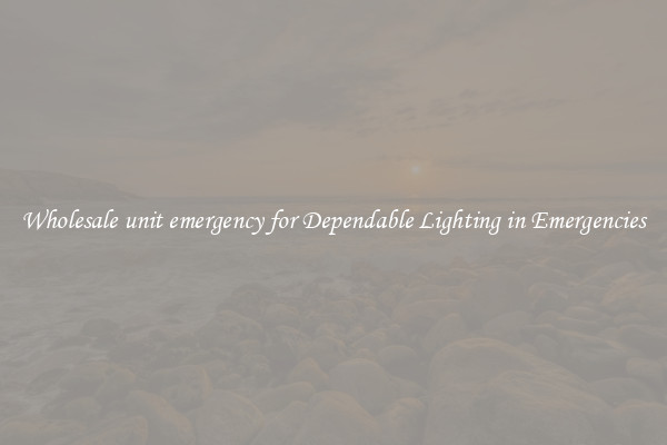 Wholesale unit emergency for Dependable Lighting in Emergencies