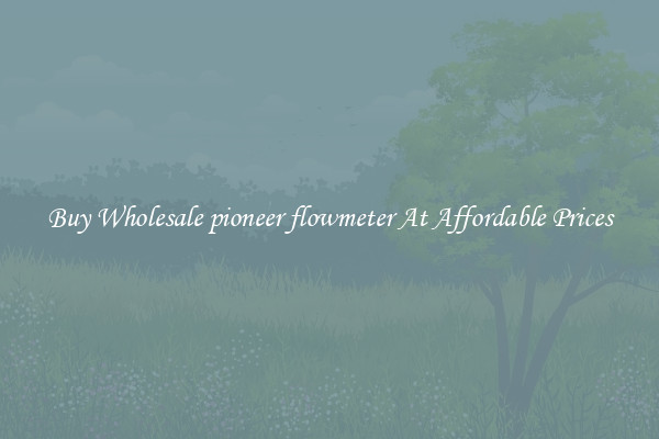 Buy Wholesale pioneer flowmeter At Affordable Prices