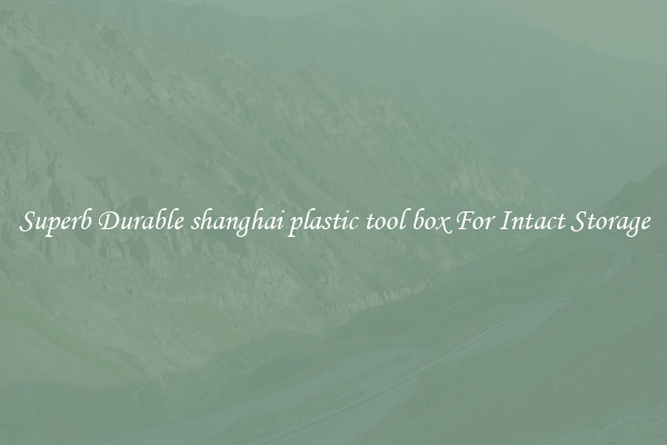 Superb Durable shanghai plastic tool box For Intact Storage